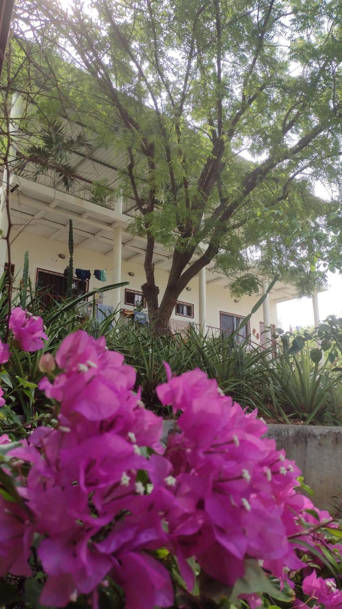 Casa Todo Bueno Bed & Breakfast Transito Dış mekan fotoğraf