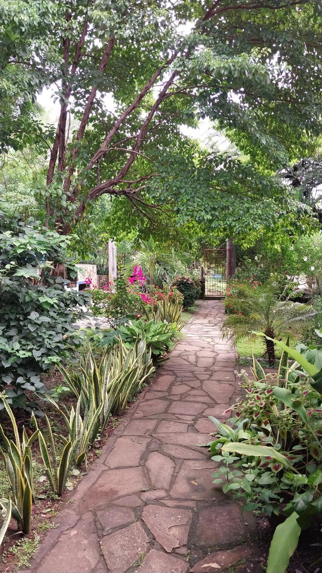 Casa Todo Bueno Bed & Breakfast Transito Dış mekan fotoğraf