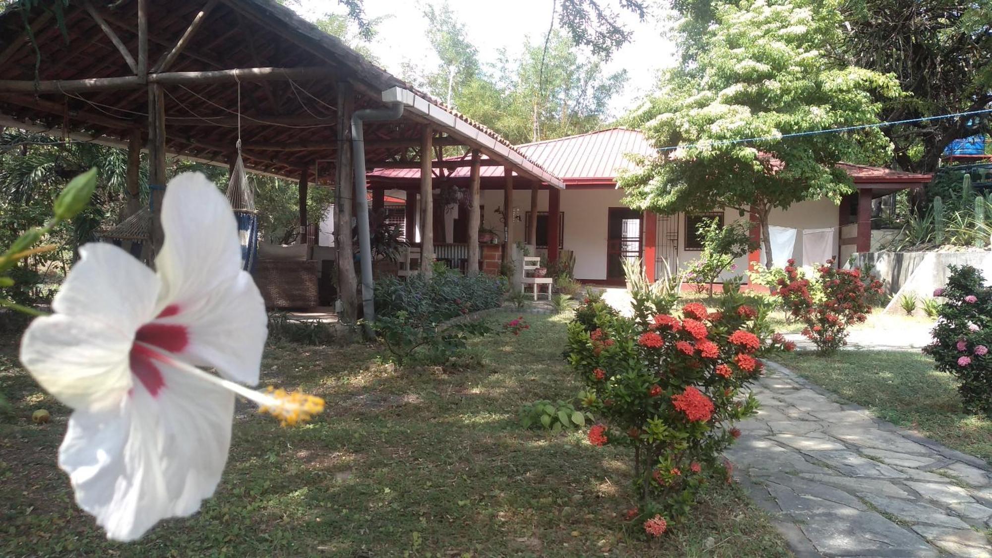 Casa Todo Bueno Bed & Breakfast Transito Dış mekan fotoğraf